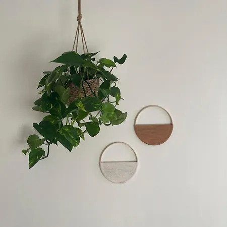 A Few Steps Away זנדוורט