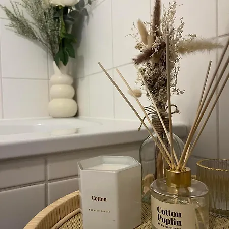 Διαμέρισμα A Few Steps Away Zandvoort