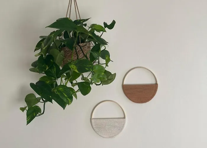 A Few Steps Away Zandvoort