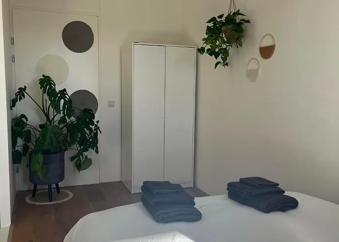 A Few Steps Away Zandvoort