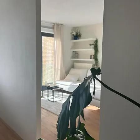 A Few Steps Away * 잔드보르트