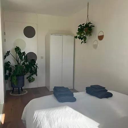 A Few Steps Away 잔드보르트